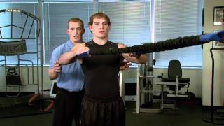 Rows - Baseball Exercises - Foundational Exercises