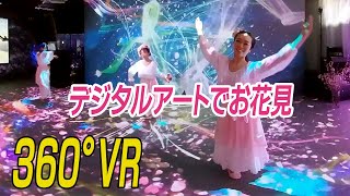 【360°VR】デジタルアートで〝日本一早いお花見〟　東京・日本橋
