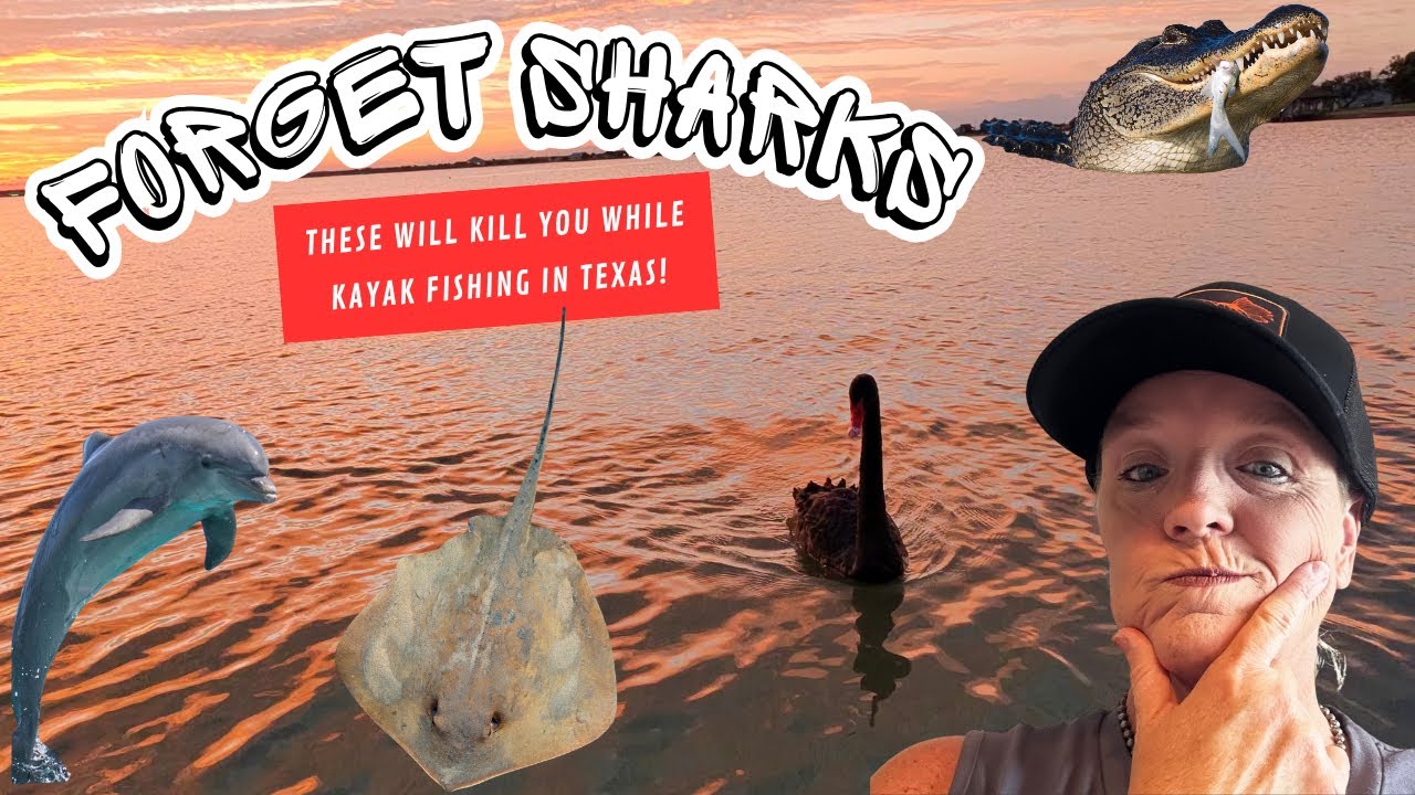 Top 5 Deadliest Dangers While Kayak Fishing the Texas Coast 🌊🦈🐬🦢