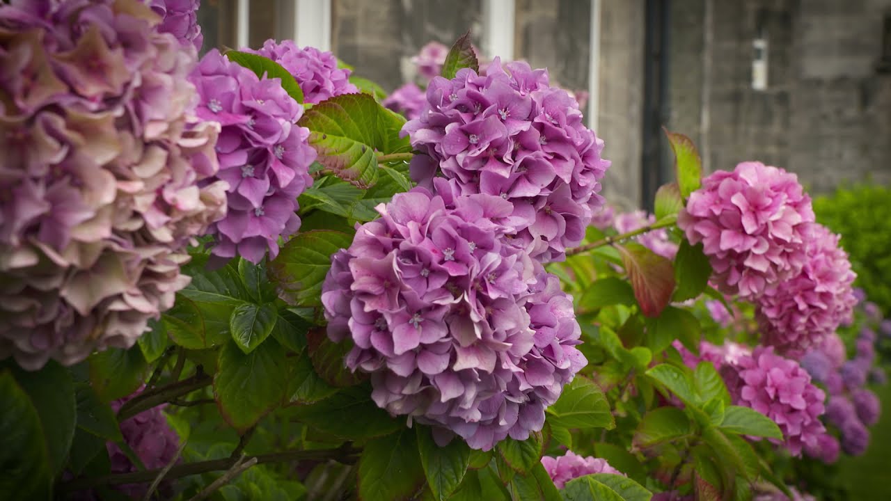 The Scottish Police Memorial Trust - Service Of Remembrance 2021