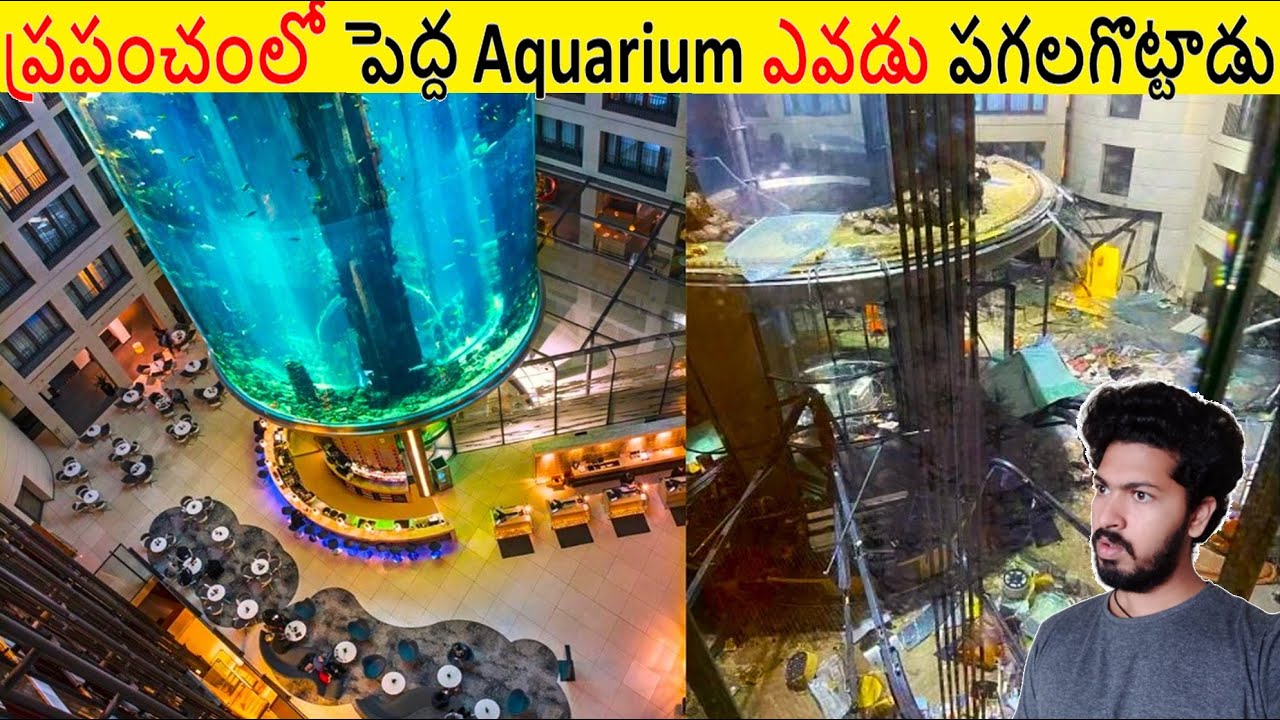   Aquarium     Amazing Facts Ever Listen Part 212  ALK Facts