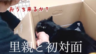 両親と保護した黒猫の初対面で名前まで決まってました!