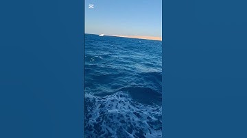آيات الراحه النفسيه سورة التوبة #المصحف #story #القرآن_الكريم #اكسبلور