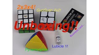 TheCubicle.us Unboxing!! Lubicle 1, GuoGuan 2x2, 2x3x4, and Pyramorphix!