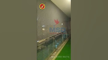 Bets Pigeon net For Balcony installation 2024