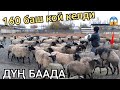 мына Койлордун алды келиптир ДҮҢ БААДА АЛСА БОЛОТ / РОМАНДЫН КОЙЛОРУ