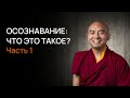 Осознанность: что это такое? ч.1 - Мингьюр Ринпоче