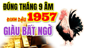 Tử Vi Đinh Dậu 1957 Tháng 9 Âm Lịch báo tin. Tiền Ngập Lối, Giàu Có Bất Ngờ Đến Cực Nhanh