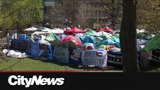 ProPalestinian encampment in Montreal welcomes community donations