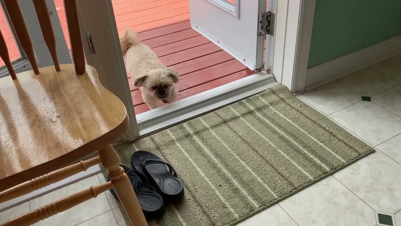 Tupperware® Pet Food Dispenser YouTube