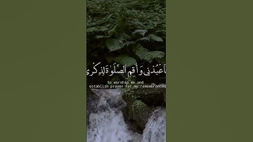 الأية(١٦:١٣)//سورة طه//ياسر الدوسري