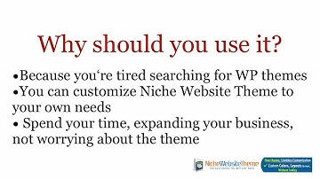 Niche Website Theme 2.0 Review