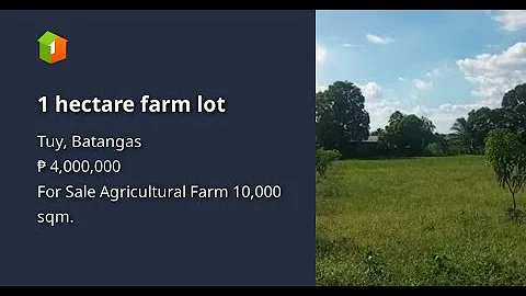 1 hectare farm lot