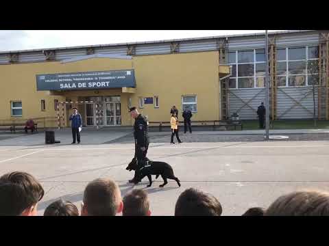 Mascații de la Jandarmerie, la „Peda” arado manual
