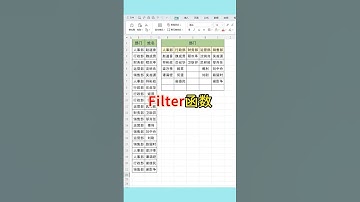 Filter函数分类统计#excel #wps #表格 #函数 #文员