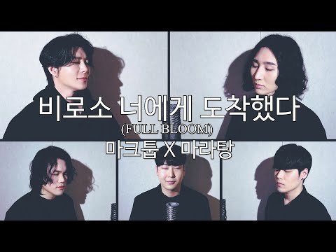 마크툽X마라는대로 비로소 너에게 도착했다