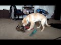 Youtube Thumbnail title