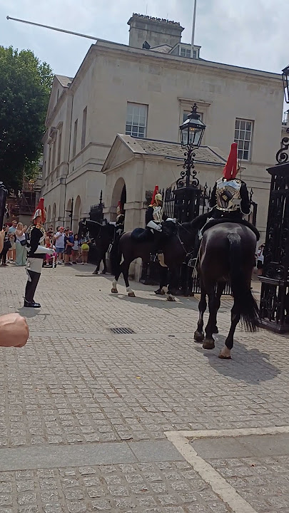 time to swap duty #londontourist #horse #london #tourist
