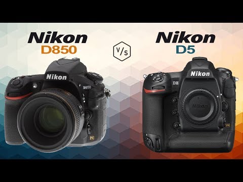 Nikon D850 vs Nikon D5