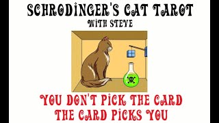 Schrodinger's Cat Reading - A simple yes or no reading turned into much more here!!