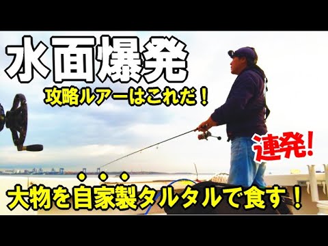 Targeting big sea bass with a decal lure! Exploding on the water