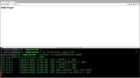 Setup a Webserver with Python   Linux Tutorials clip12