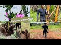 Vlog je plante finalement le plantain dans les trous de la dernire fois 