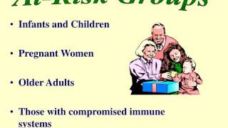Fight BAC! Keep Food Safe From Bacteria