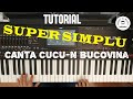 PROFU' de MUZICA - Canta cucu-n Bucovina - TUTORIAL ORGA (4K), lectii orga incepatori