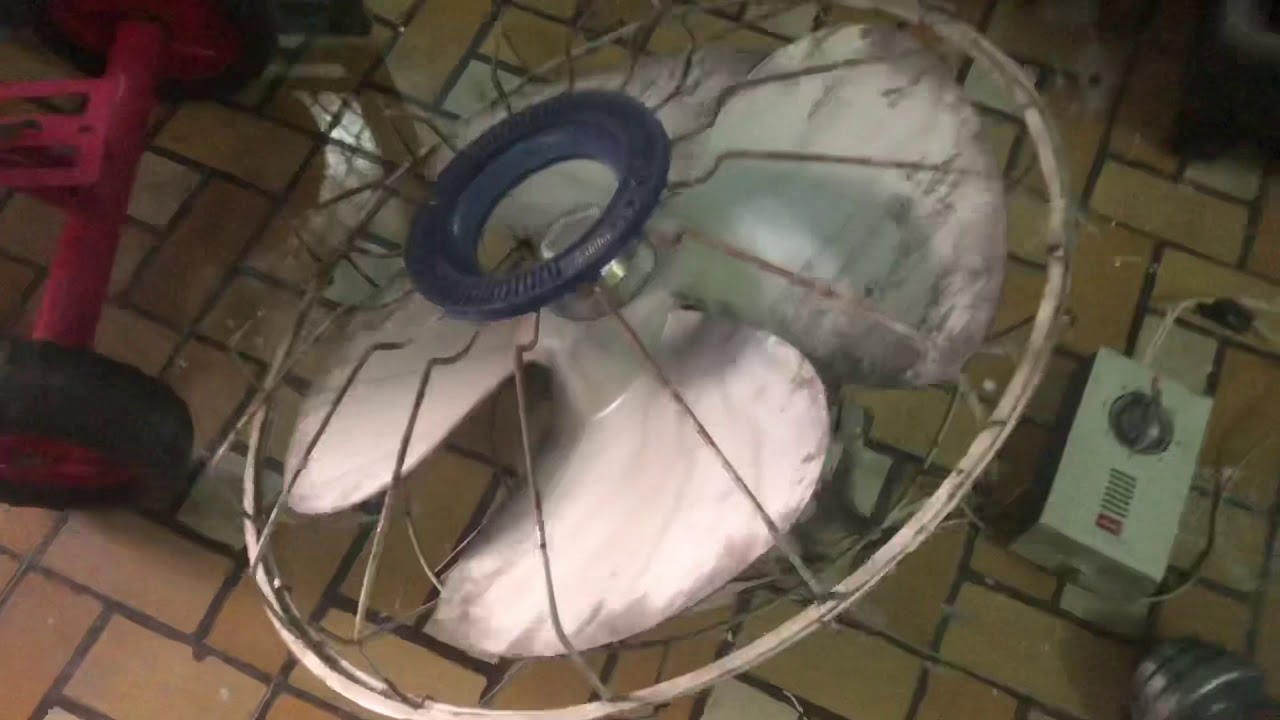 Tobisha Orbit Fan and Unknown at an Antique Store