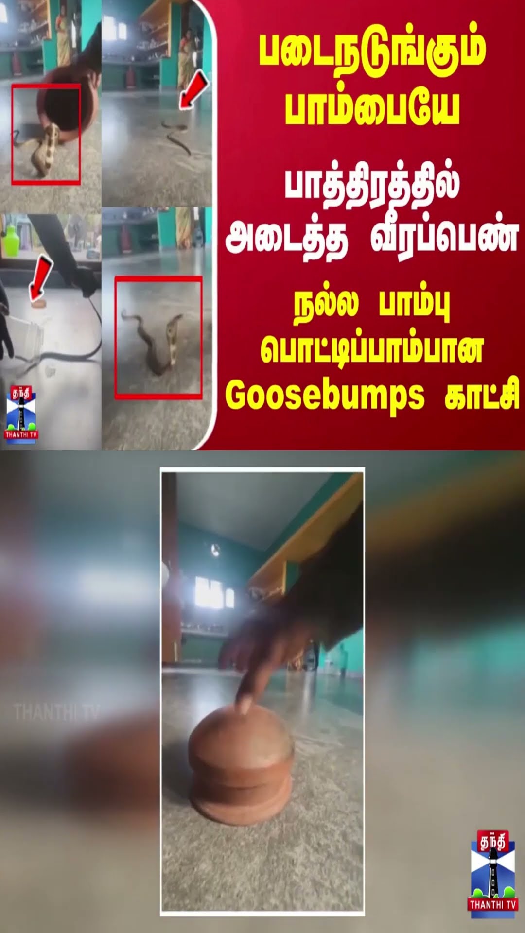 படைநடுங்கும் பாம்பையே-பாத்திரத்தில் அடைத்த வீரப்பெண்.. நல்ல பாம்பு பொட்டிப்பாம்பான Goosebumps காட்சி