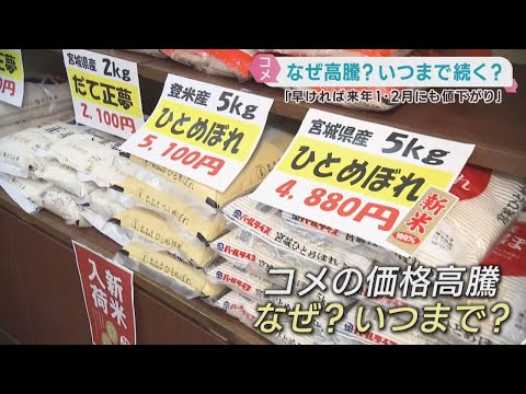 米の価格高騰はいつまで？「２０２６年は下がる可能性」専門家