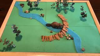 Beaver and Wildfire Stop Motion Story