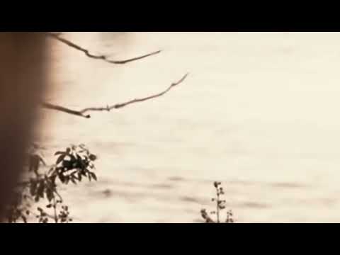 Лето в пионерском галстуке/ЛВПГ Буктрейлер к книге. - YouTube