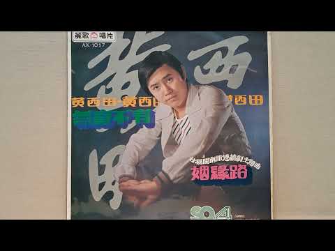 無奇不有（天才與白痴）黃西田
