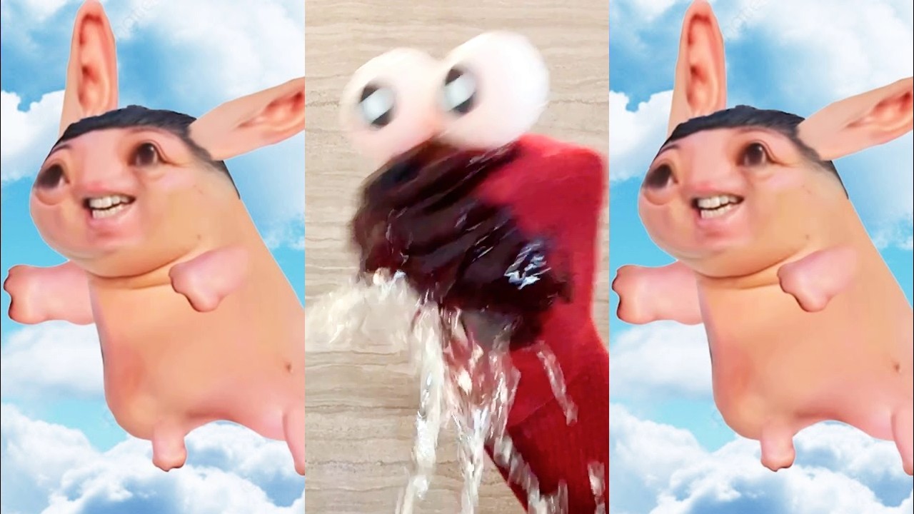 Nonomen funny video😂😂😂 BEST Nonomen Funny Try Not To Laugh