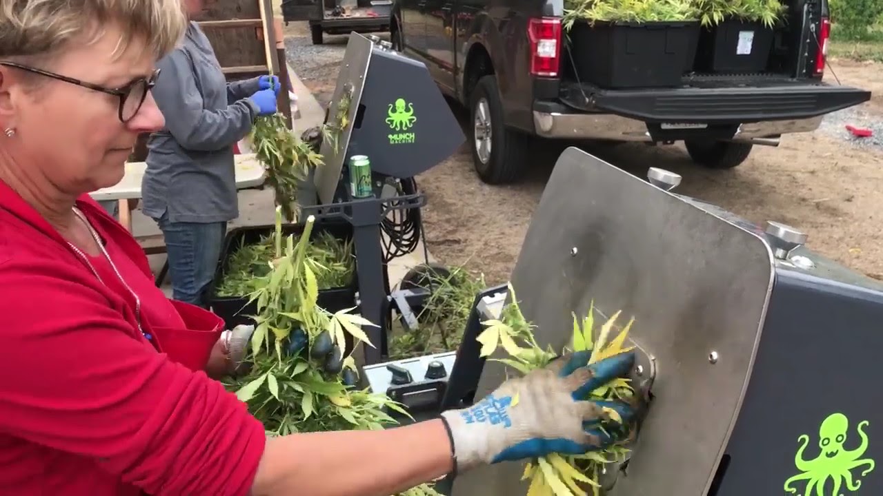 Farm Journal | Munch Machine Field Bucking