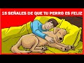 15 SEÑALES de que tu perro está FELIZ y SALUDABLE