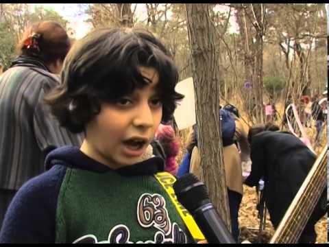 მწვანე ქალაქები - Green Cities - გადაცემა \"ეკოვიზია\" - 'Ecovision' TV Show