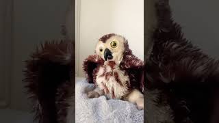 Pompous Corrects Us On Ideny