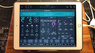 WoodSynth Synthesizer - Let’s Explore & Play - Live iPad Demo