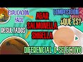 Medio De Cultivo Salmonella Shigella AGAR SS Agar Salmonella Shigella EspañolAGAR SS Microbiología Medio De Cultivo Salmonella Shigella AGAR SS Agar Salmonella Shigella EspañolAGAR SS Microbiología
