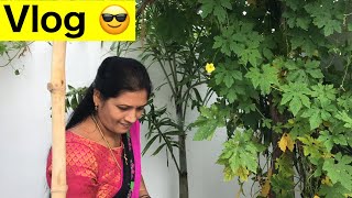 VLOG//మా ఇంటి చెట్టు కాకరకాయలతో రెండు కూరలు//కాకరకాయ టమాటో కర్రీ //గుత్తి కాకరకాయ కూర//Telugu vlogs