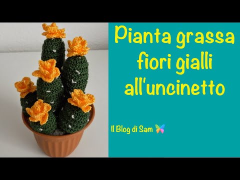 Spiegazione Della Pianta Grassa All Uncinetto Con I Fiori Gialli Youtube