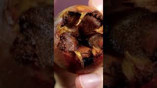 3 Pieces of Medlar Do These To Your Body In The Evening | What are the Benefits of Medlar?