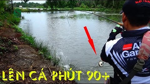 Câu cá lóc, Ngày mưa bão cũng lên cá, Fishing lure, Sắc Màu VN