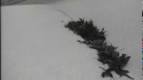 homebuilt rov sea trial