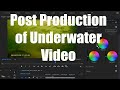 Make Those Underwater Videos Look Great with a Few Simple Color Corrections using Adobe Premiere Pro