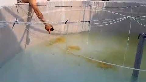 Project Biofloc Demo 2