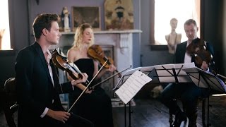 Video thumbnail of "Can't Help Falling In Love - Elvis Presley - Stringspace String Quartet"